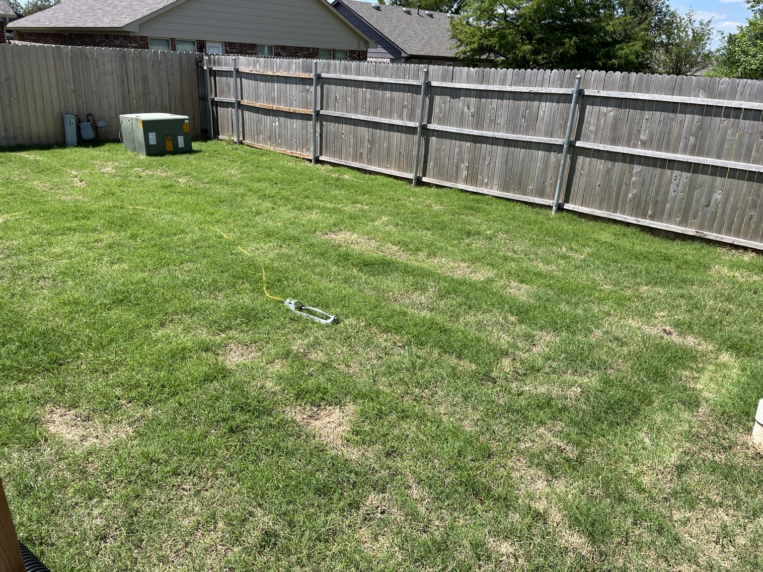 After lawn treatment