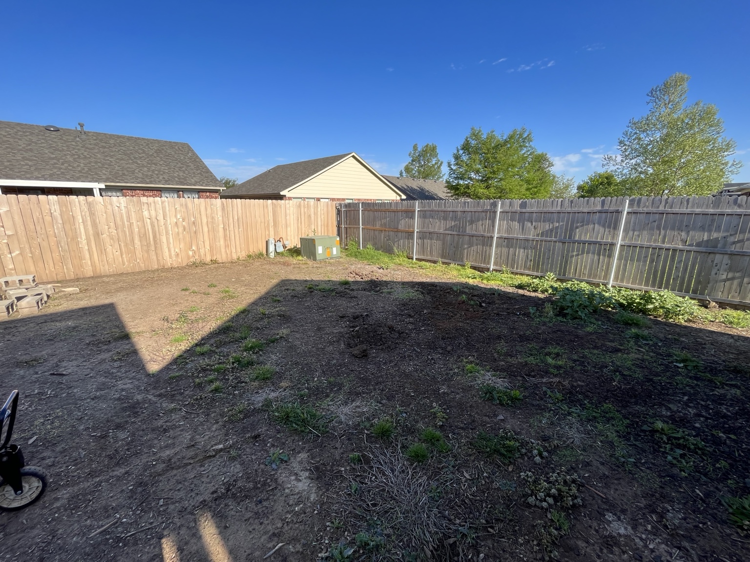 Before lawn treatment