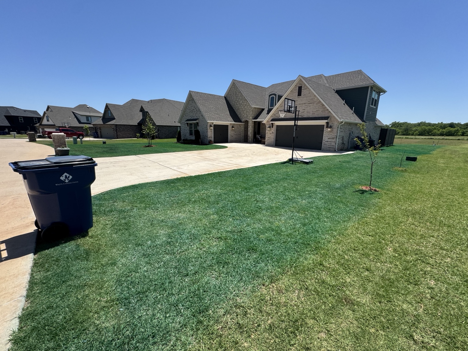 Healthy lawn