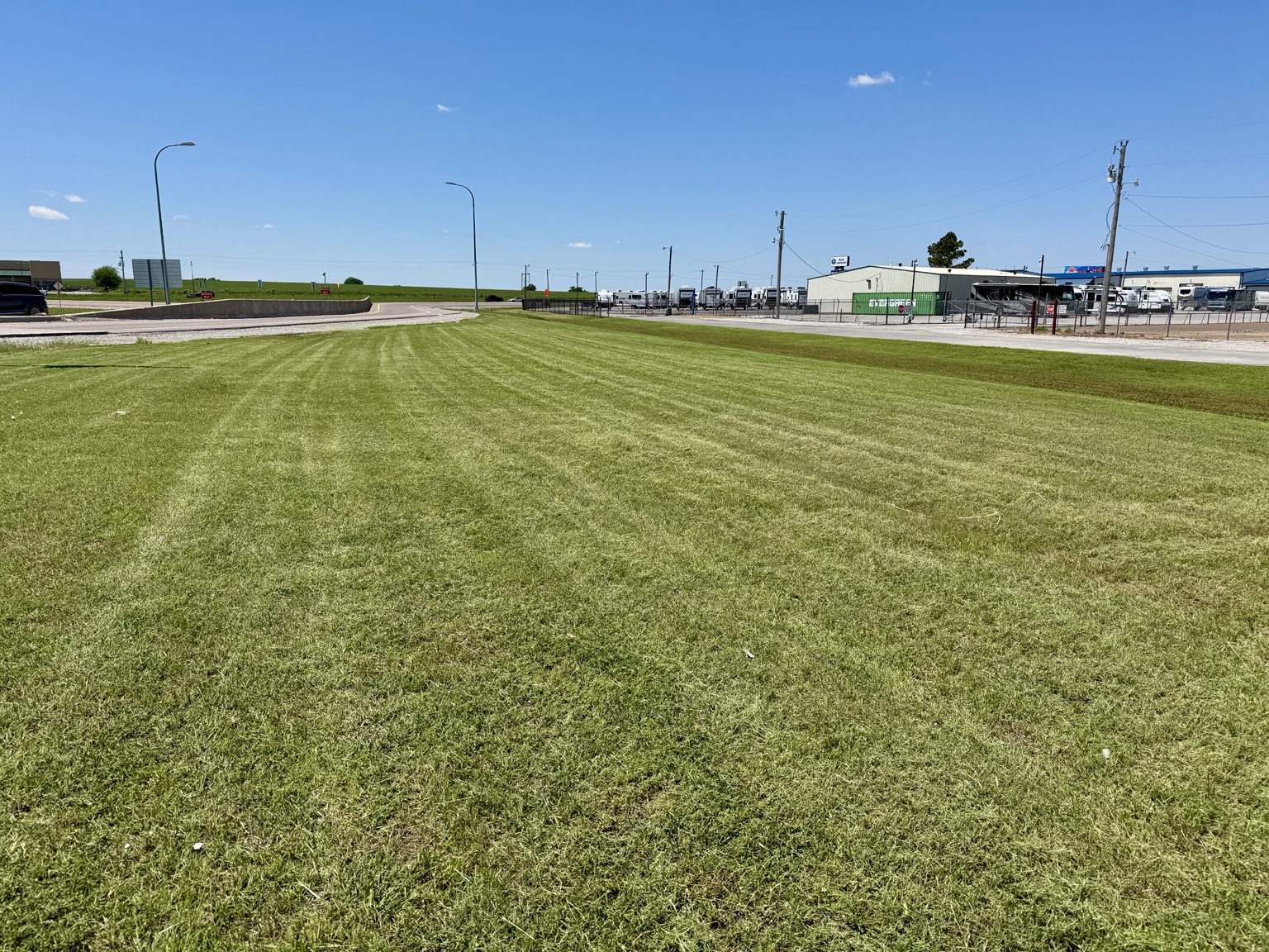 Healthy lawn