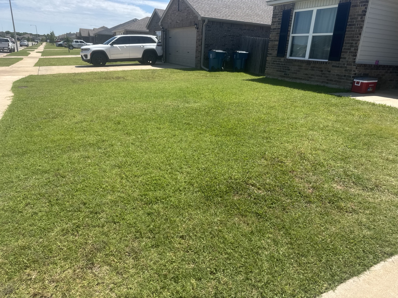 Healthy lawn